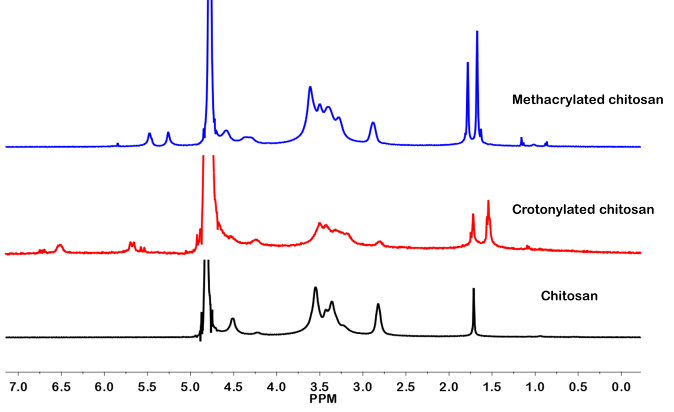 Enhancing mucoadhesive properties of chitosan with methacryloyl and crotonoyl groups
